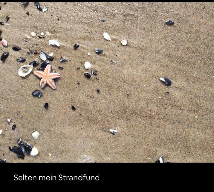 Die Kleine Acht - Direkt Am Strand Dierhagen Exterior foto